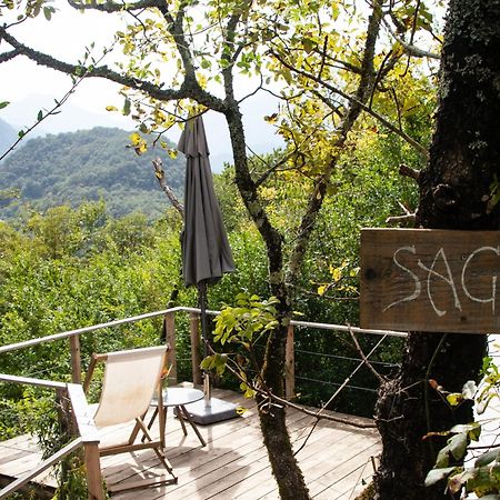 Hoopoe Glamping Hotel Virpazar Exterior foto